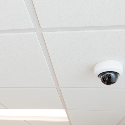 Luma X20 Commercial Dome 14